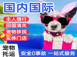西双版纳航空货运国际宠物托运 【国